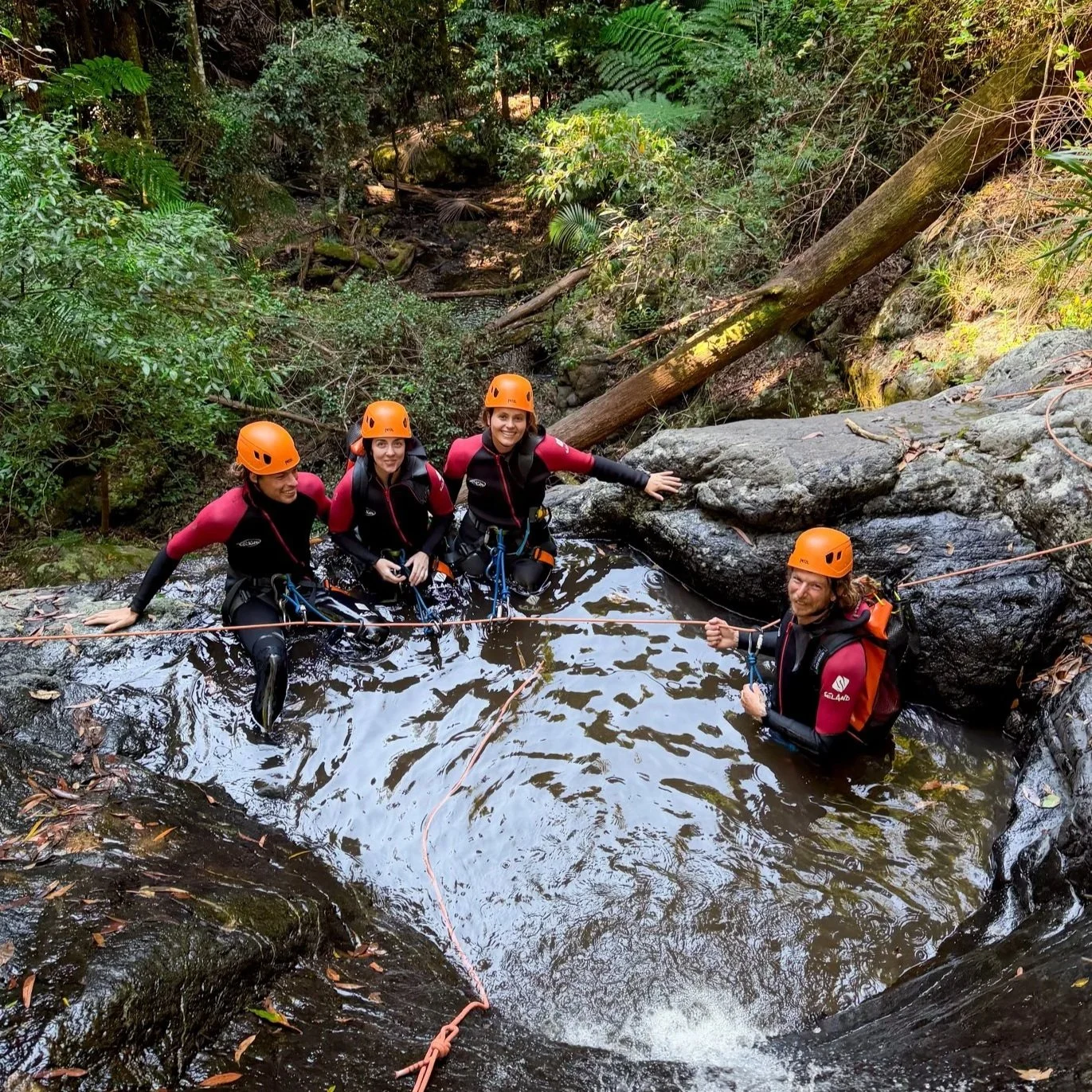 Four canyoners in wetsuits and orange helmets gathered in a rainforest creek.