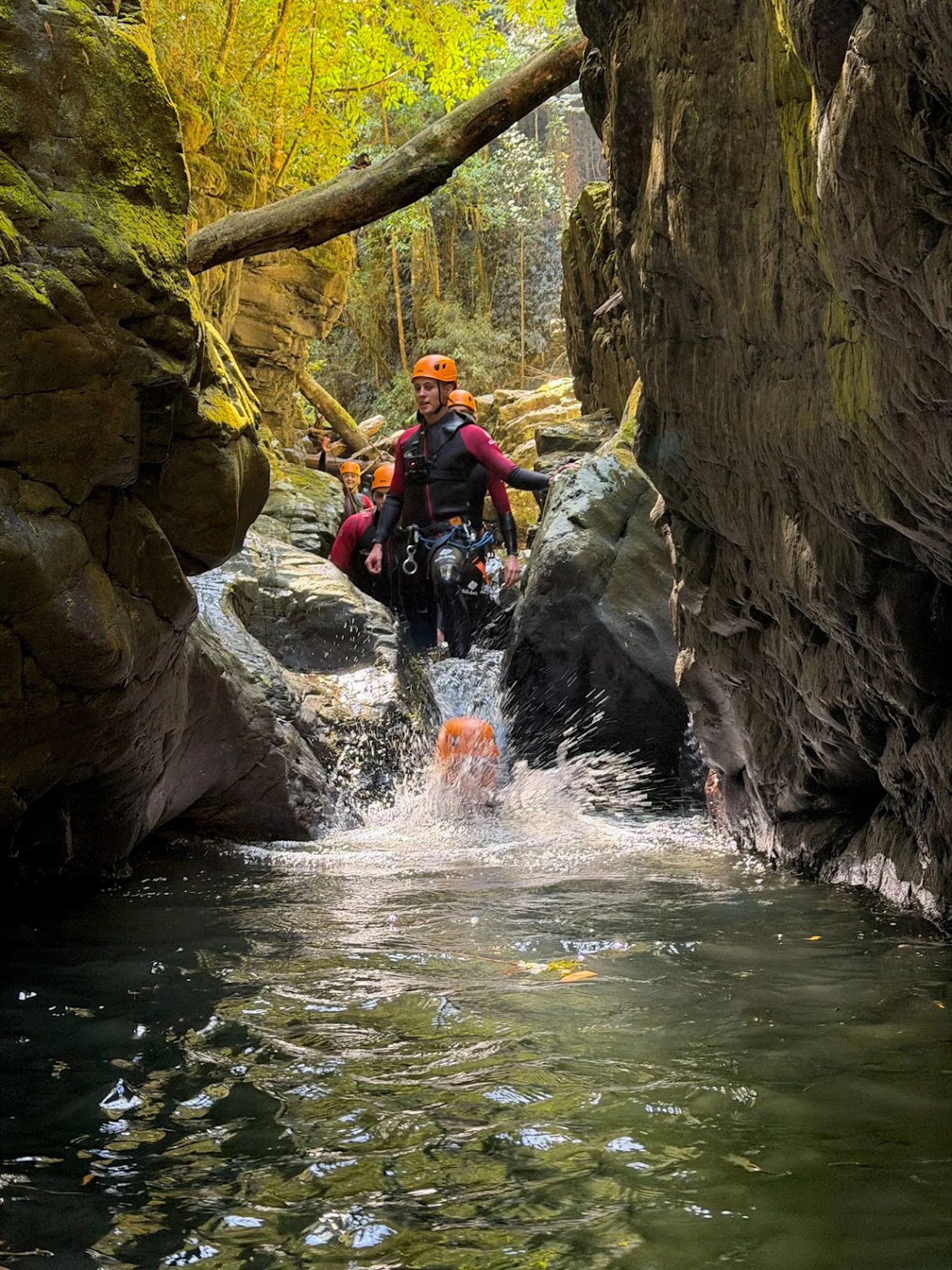 A group of people wearing helmets and life jackets are canyoning in a narrow, rocky waterway with water rushing through it, surrounded by moss-covered rocks and a forested area.