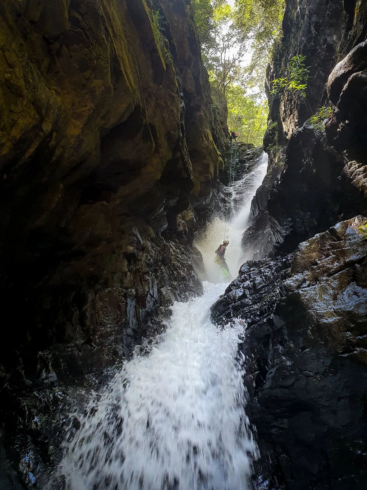 Canyoner abseiling down a waterfall in a narrow, moss-covered gorge.