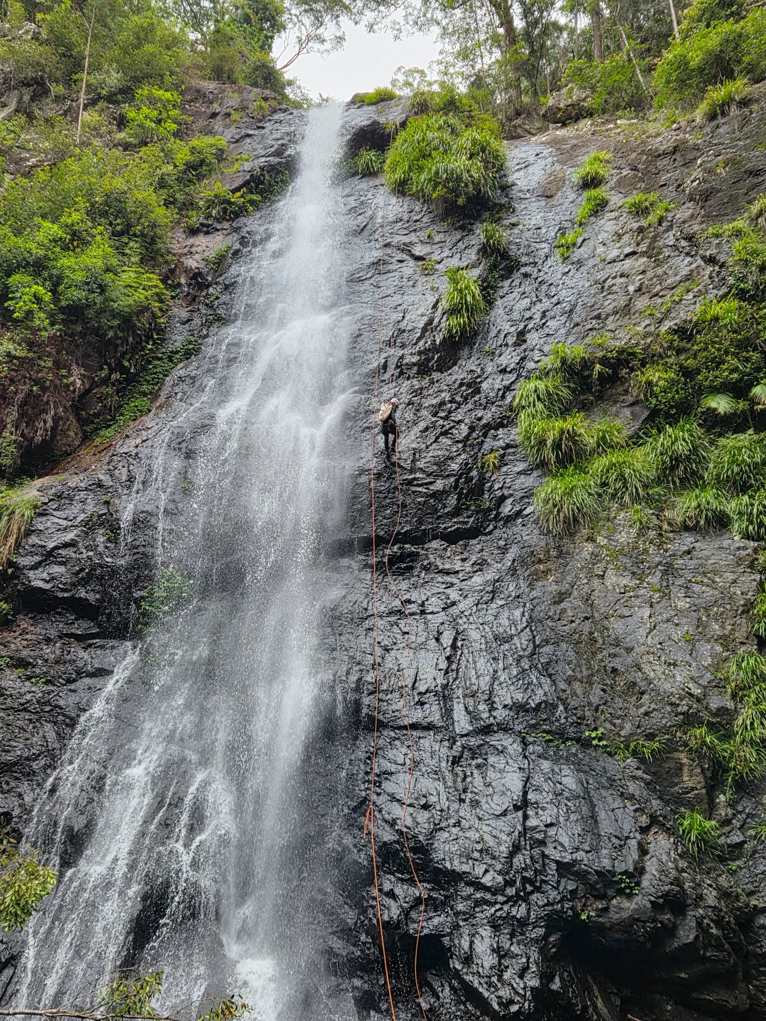 Canyoner abseiling beside a tall waterfall surrounded by rainforest.