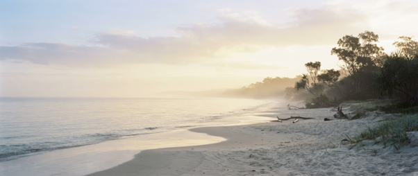Beach with shoreline, trees, and cloudy sky at sunset or sunrise.