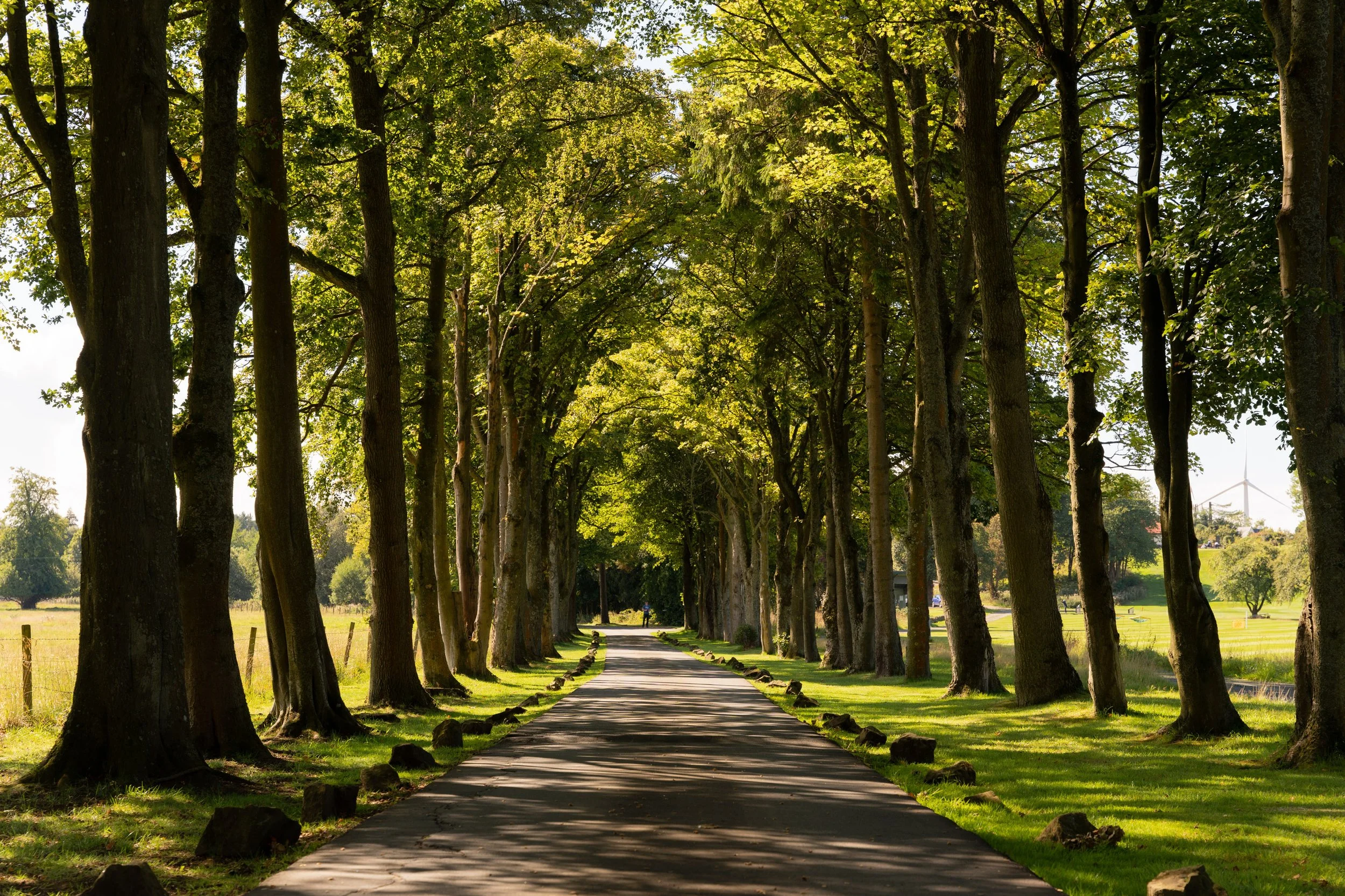 Low Res - 01.09.22 - AIRTH CASTLE 01 -_-57.jpg