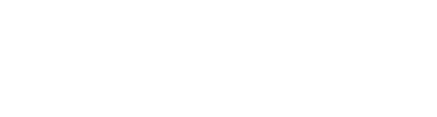 Black and white logo with the word "NETFLIX" in large, bold, stylized letters.