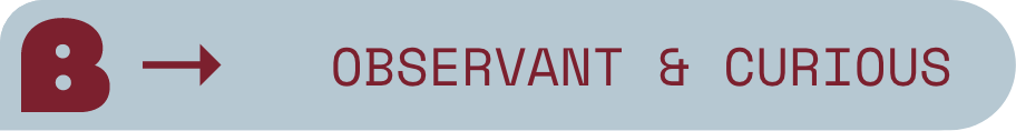 Maroon arrow points to the words "OBSERVANT & CURIOUS" on a light blue background.