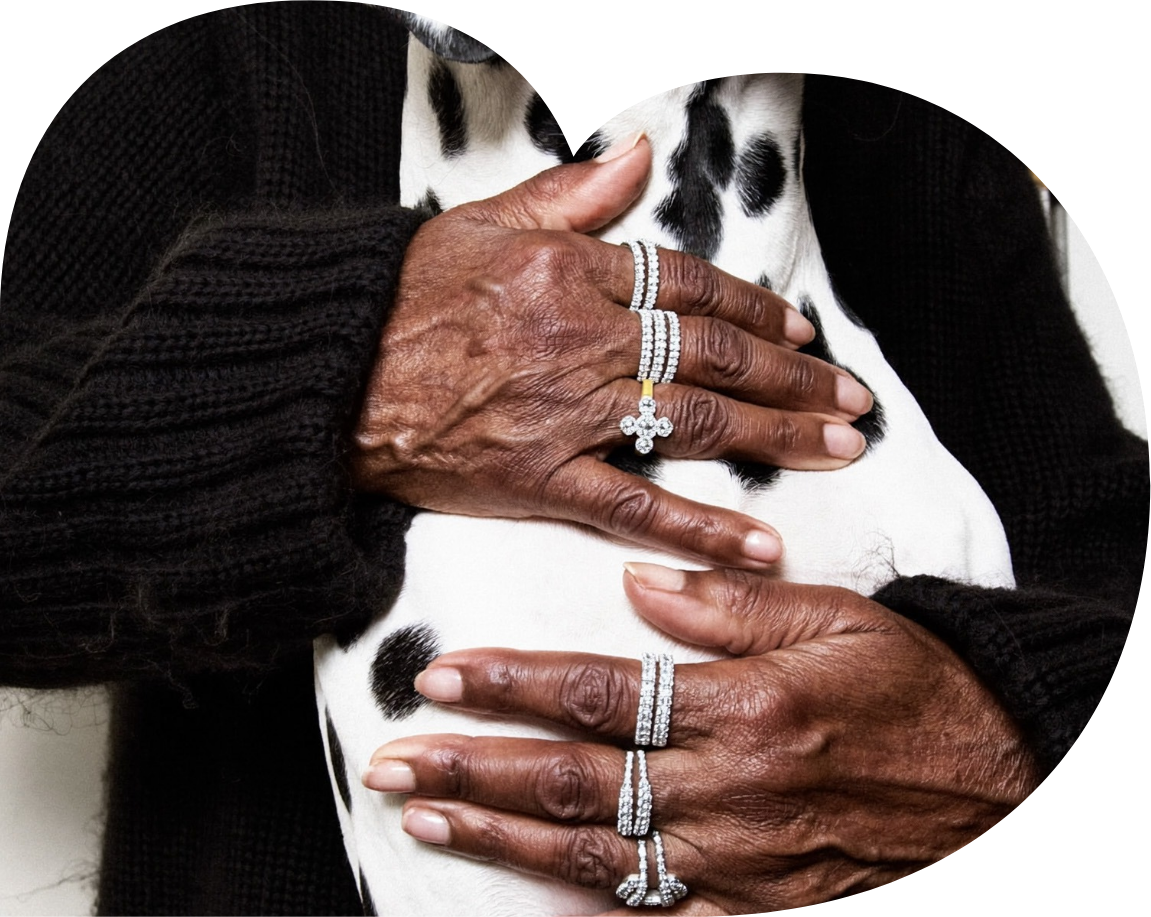 Close-up of two elderly hands with rings, gently holding a Dalmatian dog's body. The person is wearing a black sweater and jewelry, including diamond rings and a cross pendant.