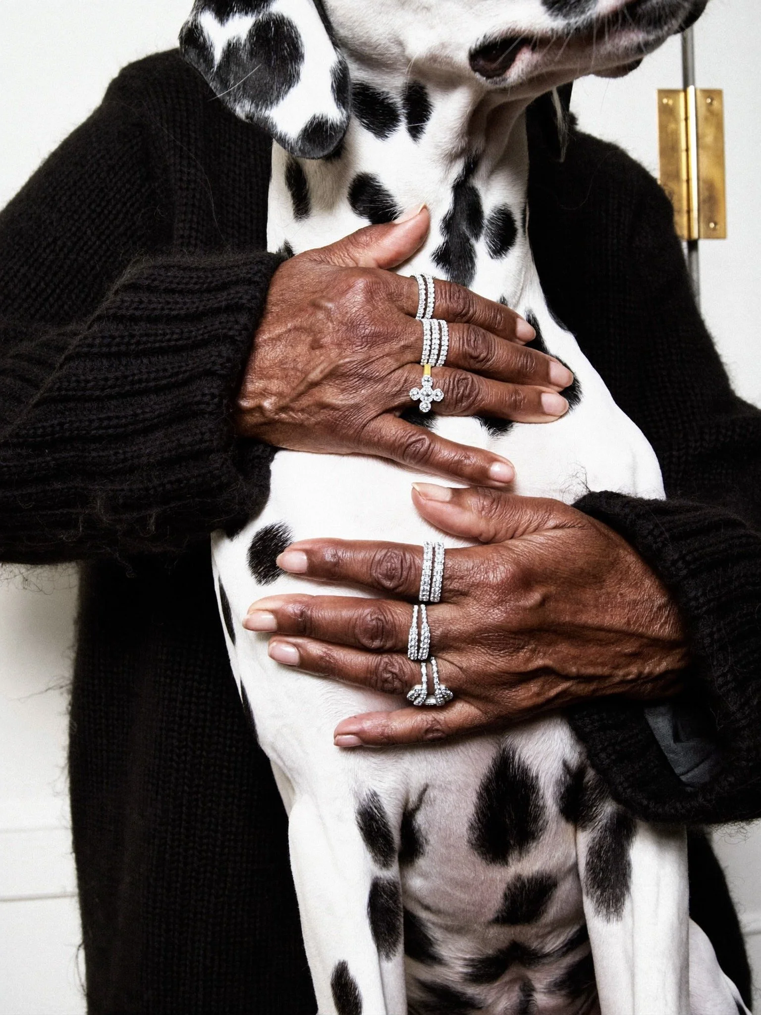 Close-up of an elderly person with dark skin wearing multiple diamond rings, holding a Dalmatian dog. The dog is black and white, with a tuxedo pattern, and the person's hand is resting on the dog's side.