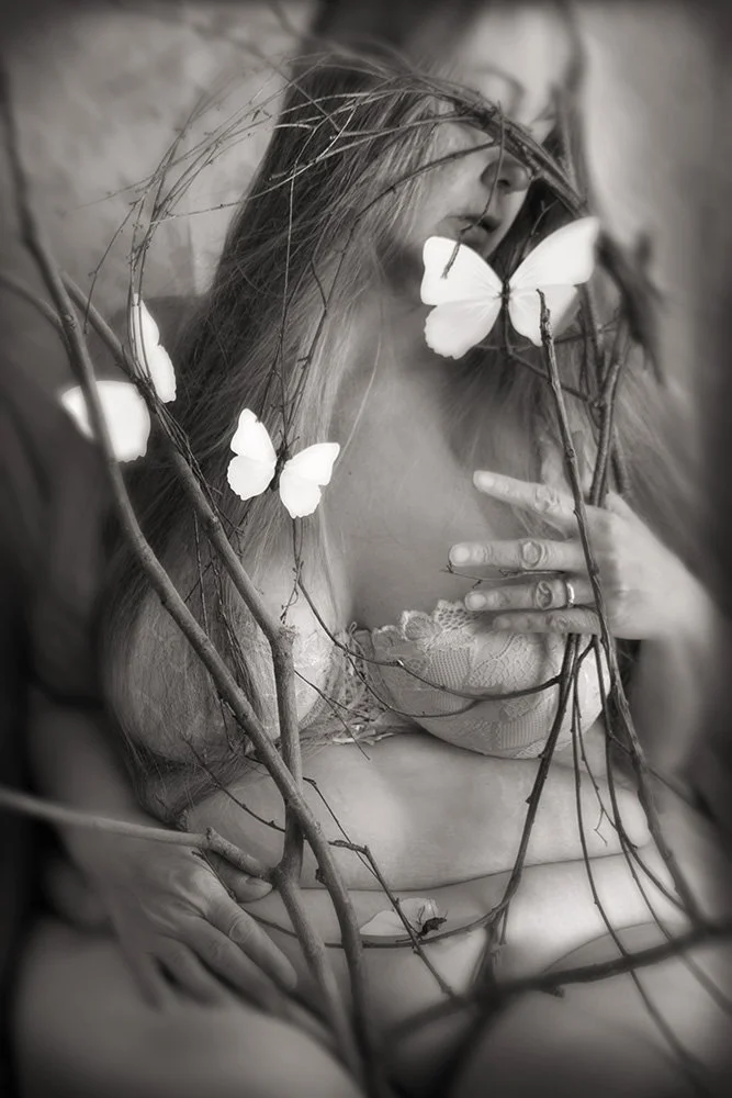 Papillon Nº 4