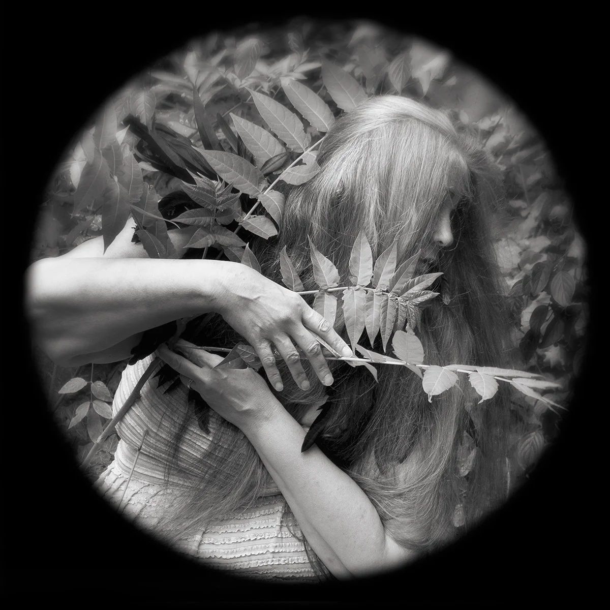 Re-Wild/BirdWoman series