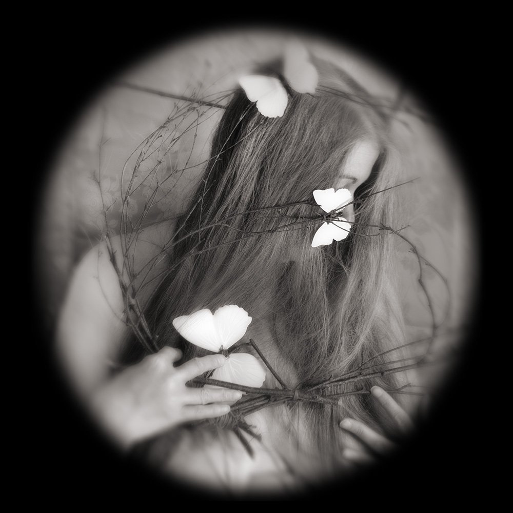 Papillon Nº 6