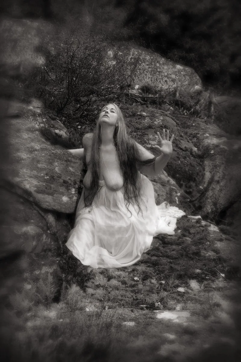 Song of the Siren