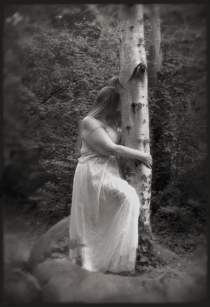Tree Hugger (Re-Wild)