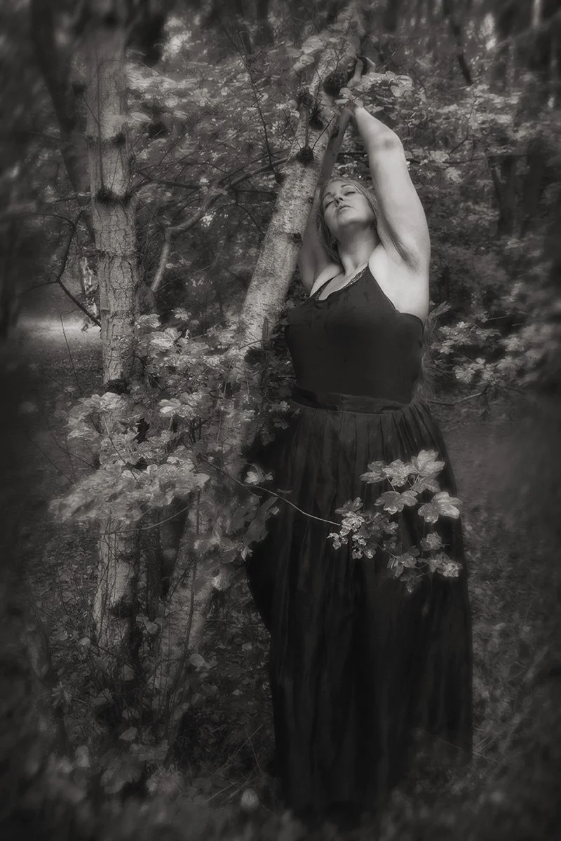White Birch Nº 2