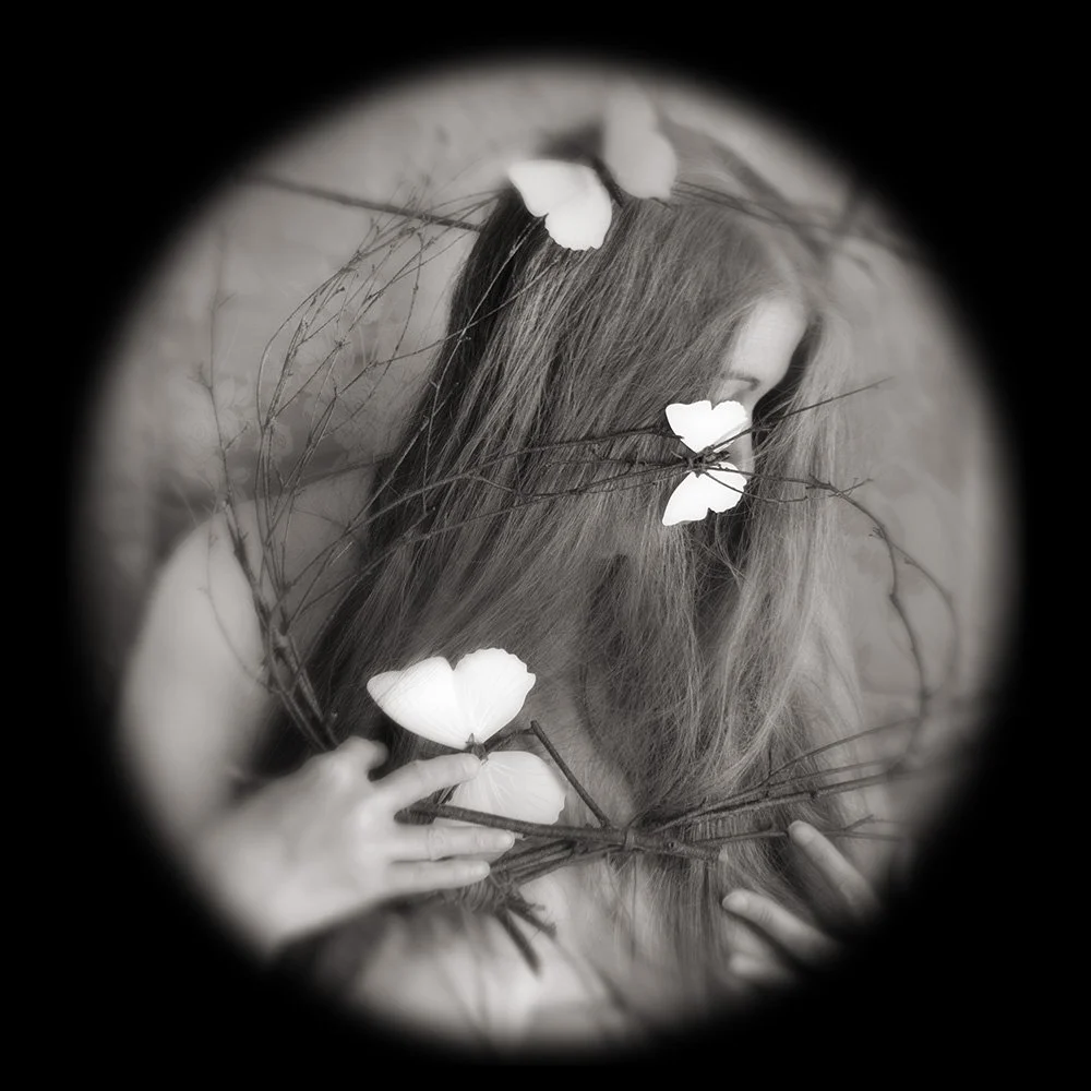 Papillon series