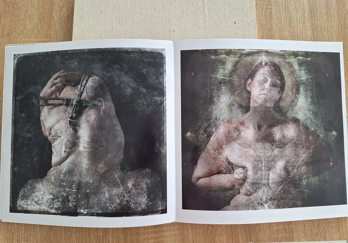 lespeinturesbook3.jpg