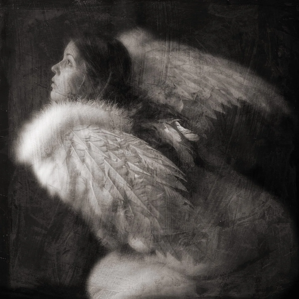 Angel Nº 6
