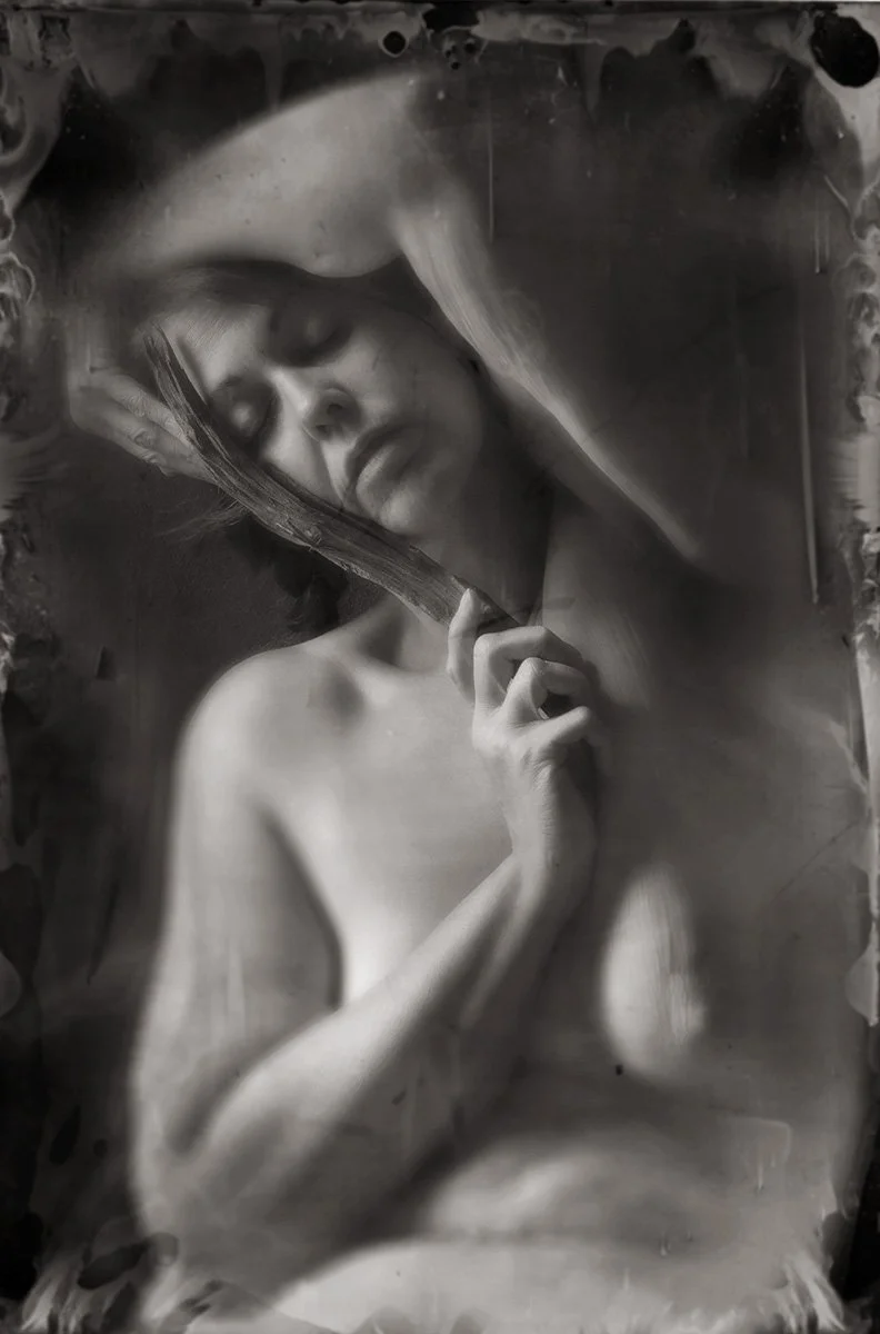 Of the Wood Limited Edition pigment print