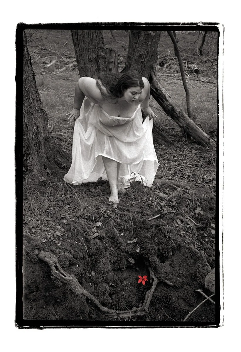 Rabbitholes and Revelations series
