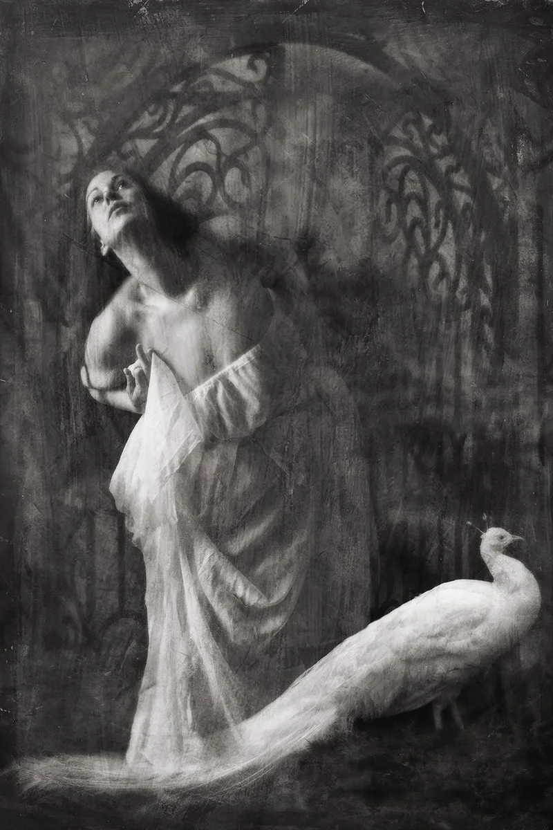 Rêves et Souvenirs series