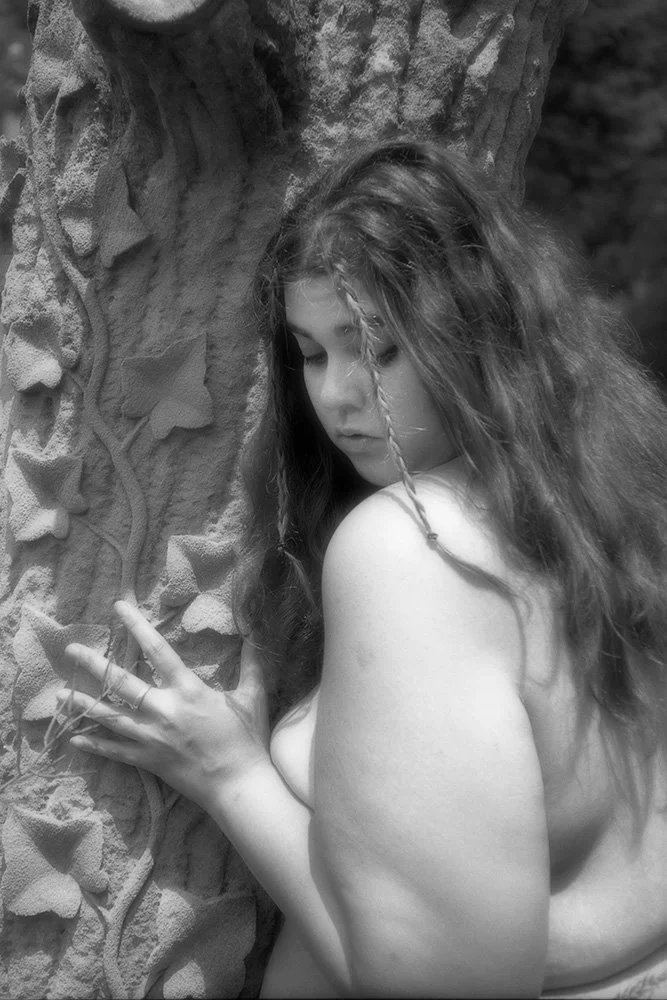 Tree Hugger Limited Edition pigment print 13" x 19"