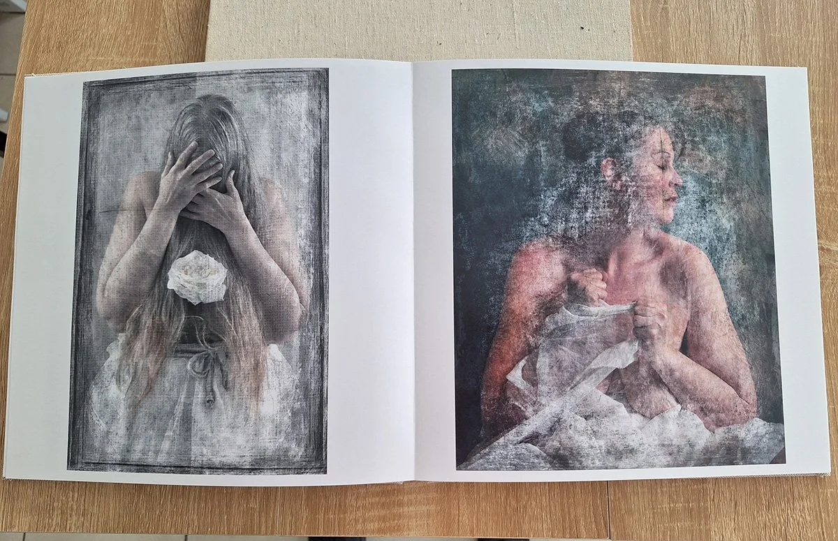 lespeinturesbook2.jpg