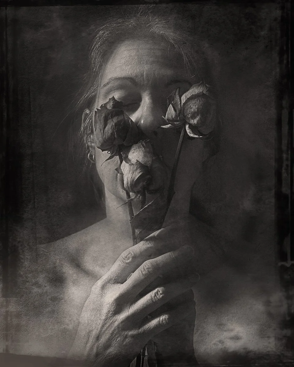 Death of a Rose