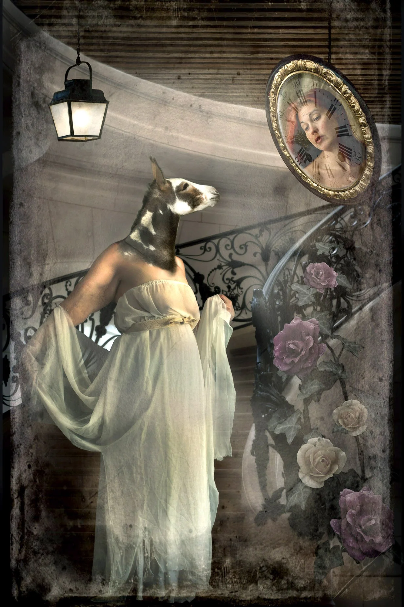 Peau d'Ane