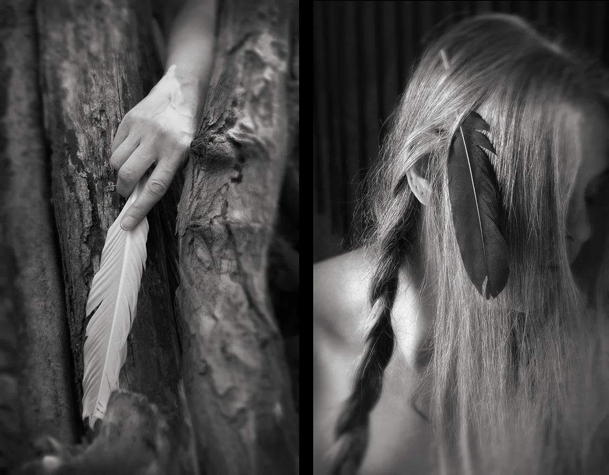 One Feather Diptych