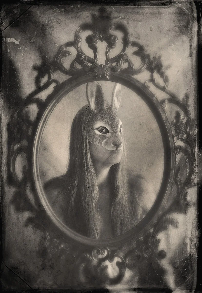 Portrait of a Rabbit