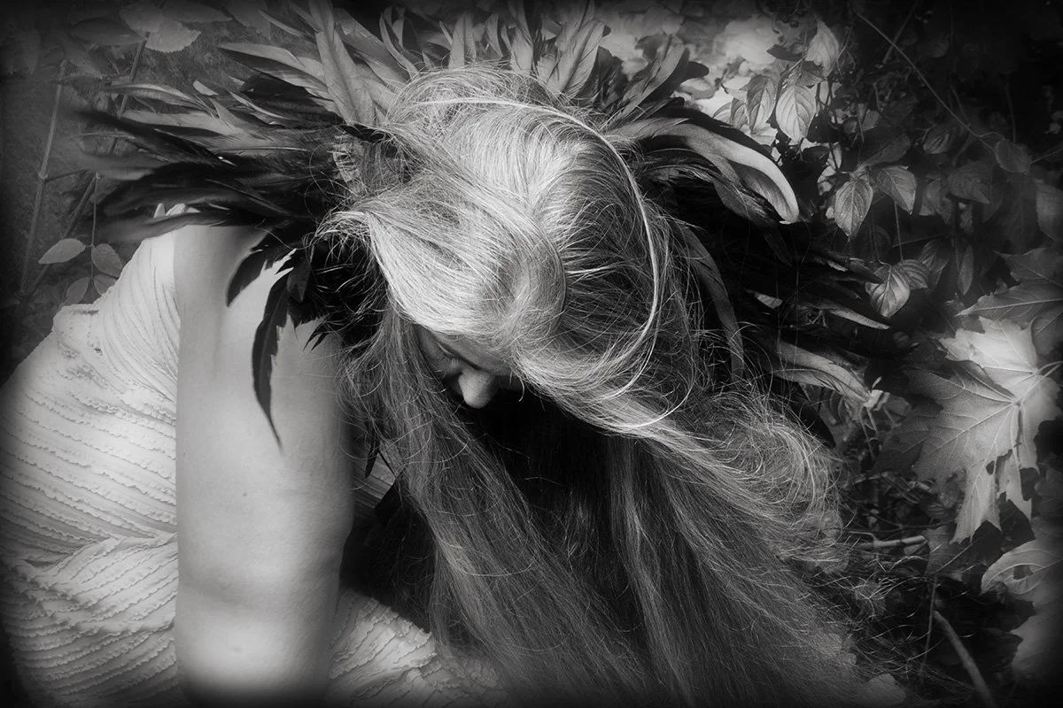 The Wind