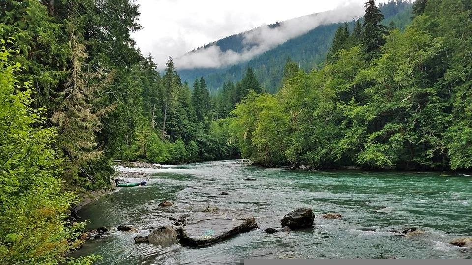 Regarding Ecology’s Draft Decision on Darrington &amp; US Golden Eagle’s Water Use Application