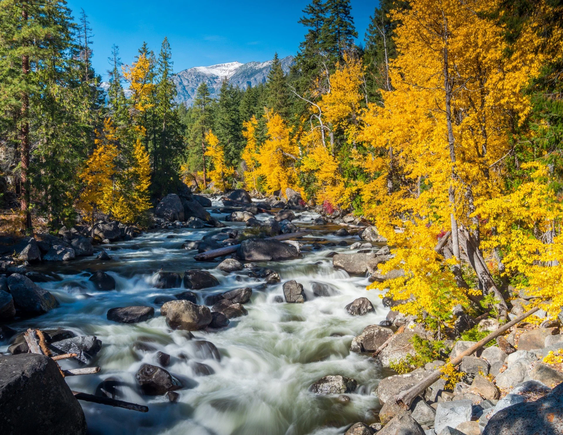 Fish Hatchery Polluting Icicle Creek at Center of Court Ruling