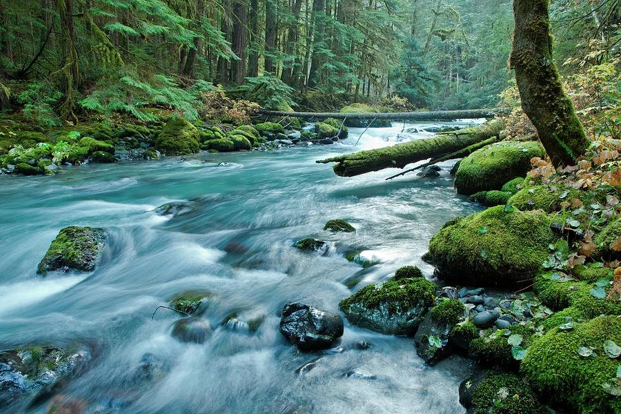 Court Upholds Dungeness Instream Flow Rule