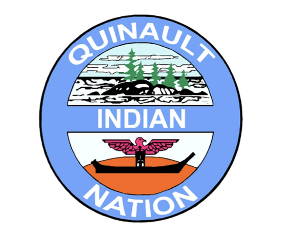 QIN logo.png