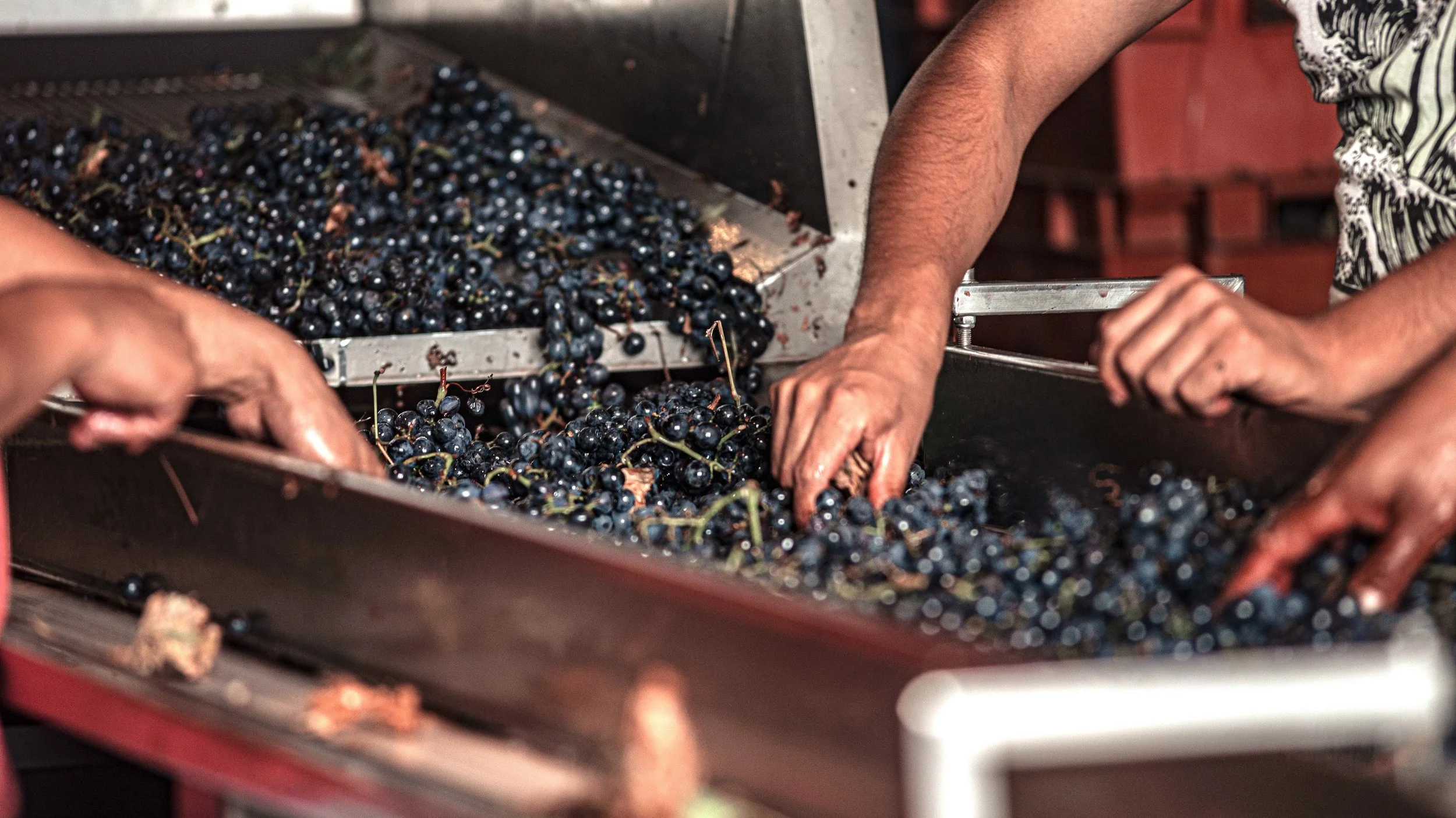 Un año de contenido para una bodega pequeña, mes a mes