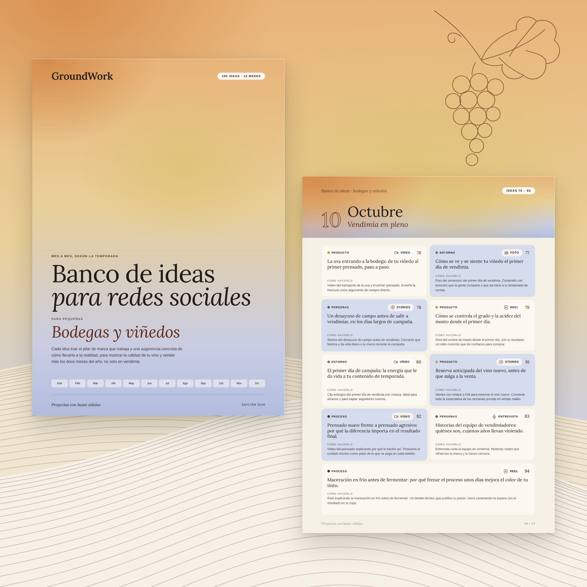 Banco de ideas para redes sociales: para pequeñas bodegas y viñedos