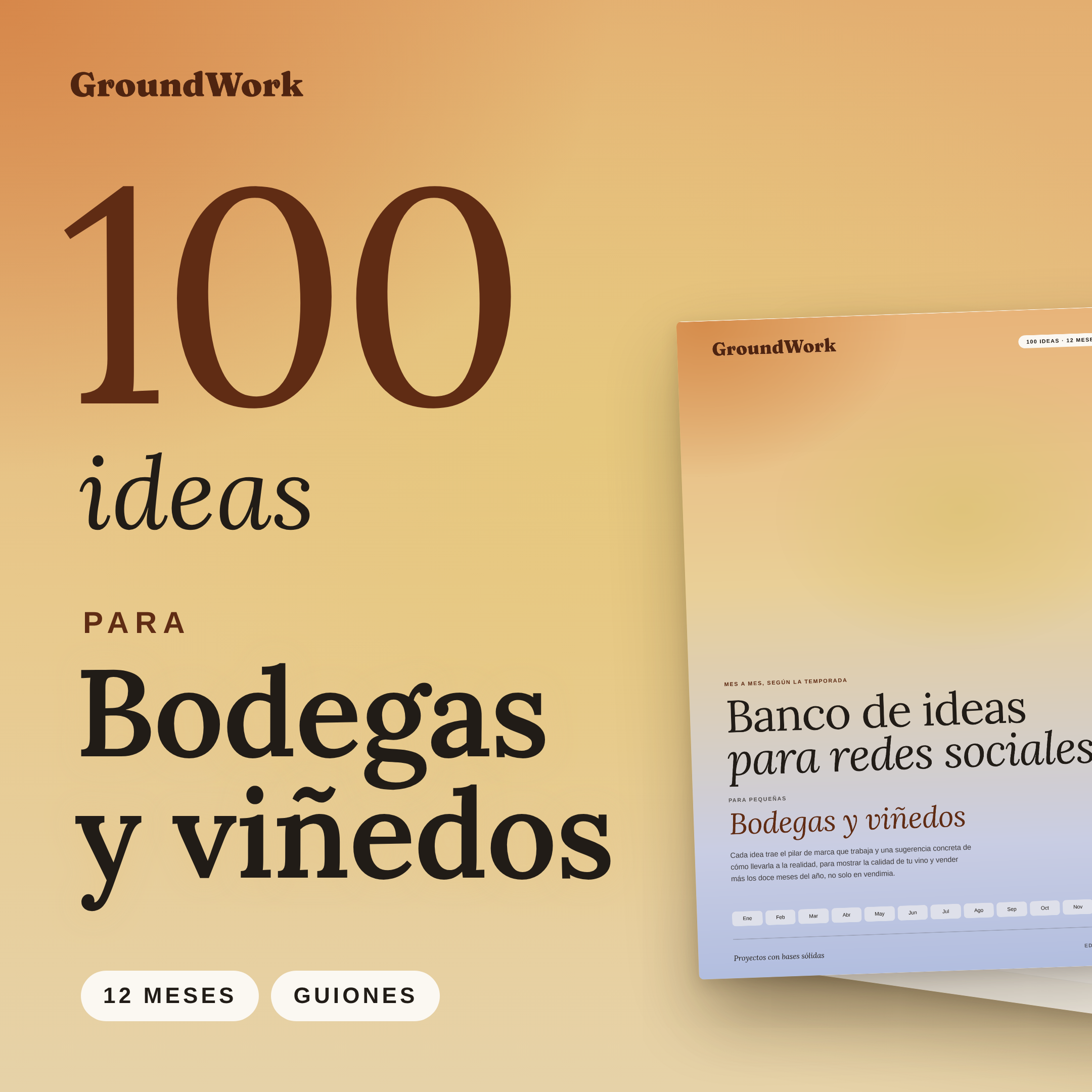 PROMO - Banco de ideas para redes sociales: para pequeñas bodegas y viñedos