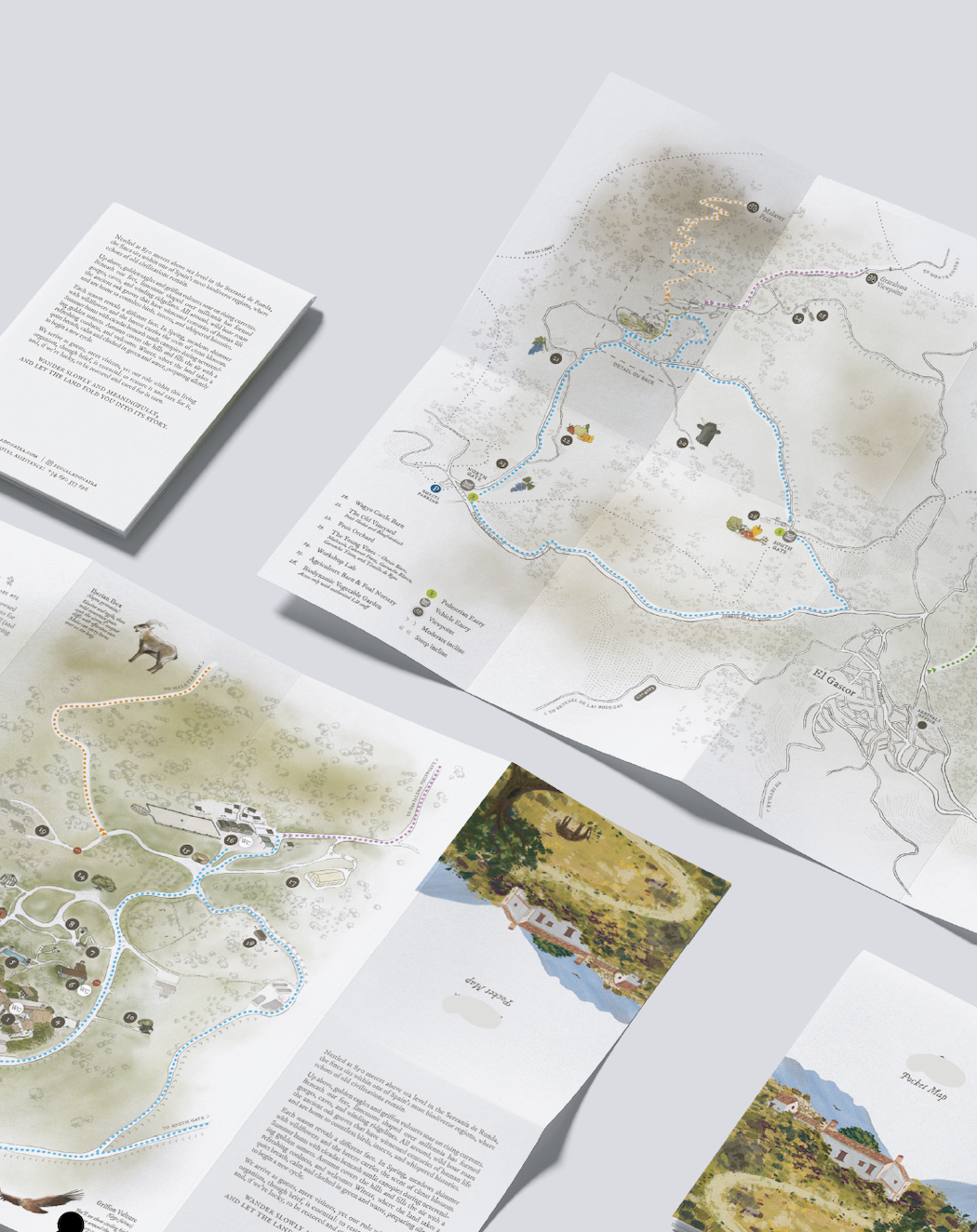 Mapa ilustrado simple