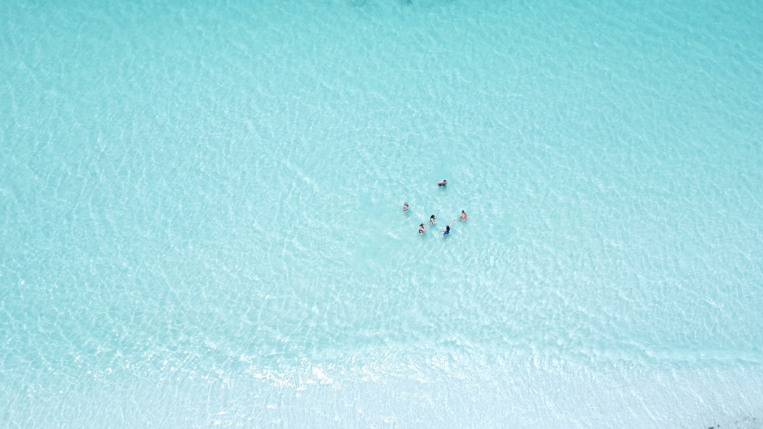 Six people swimming and floating in turquoise water with sunlight reflecting off the surface.