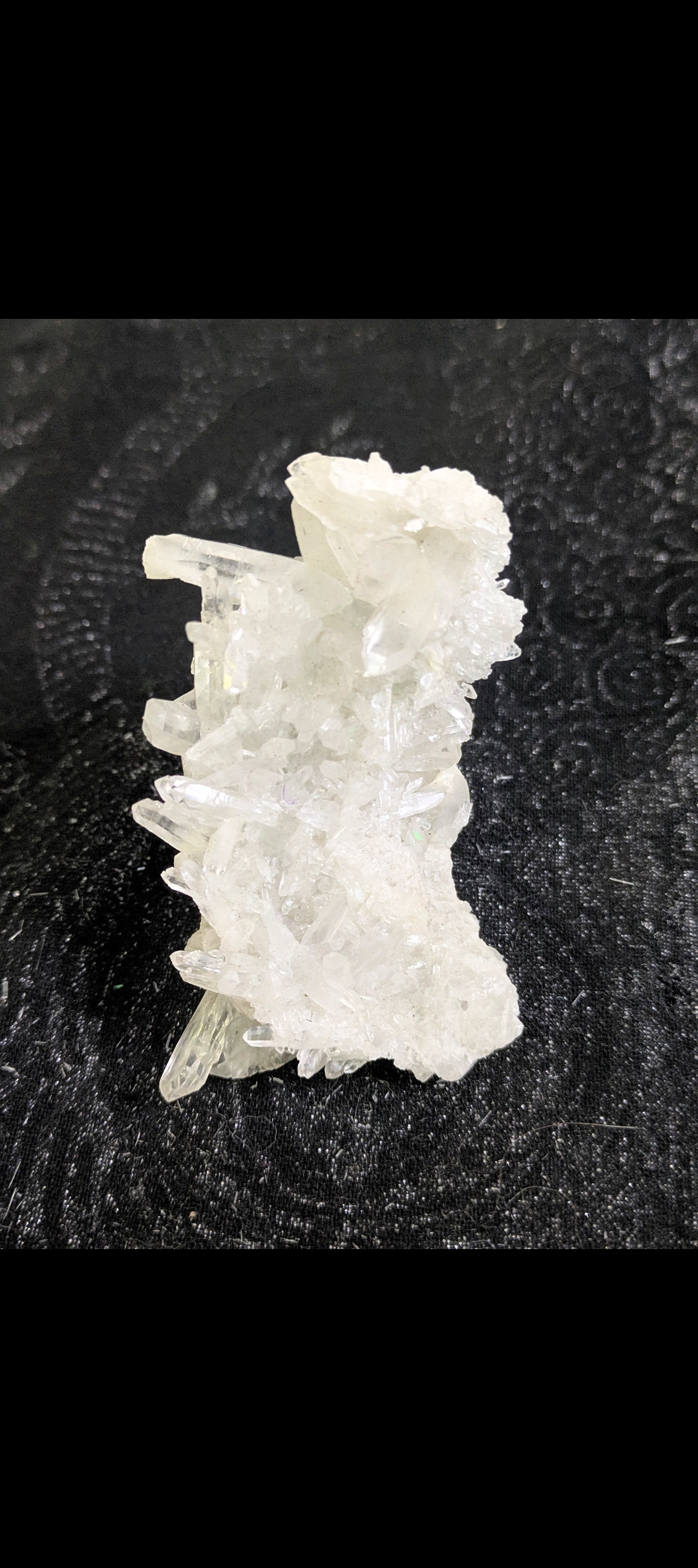 High-Grade Clear Quartz Needle Cluster (2" – 3 ½")