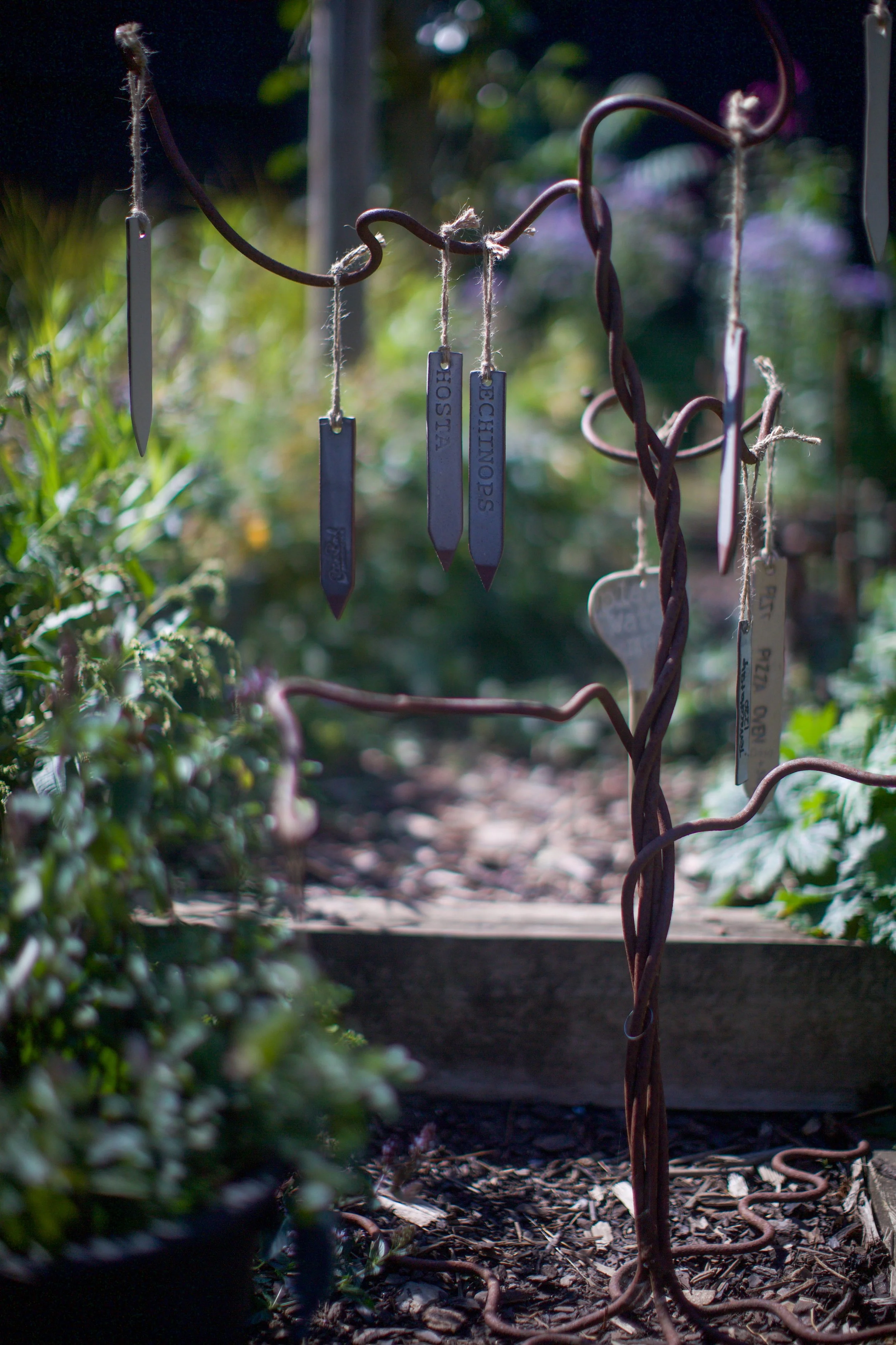 Handmade ceramic plant labels, including Hosta and Echinops, hanging from a garden plant support
