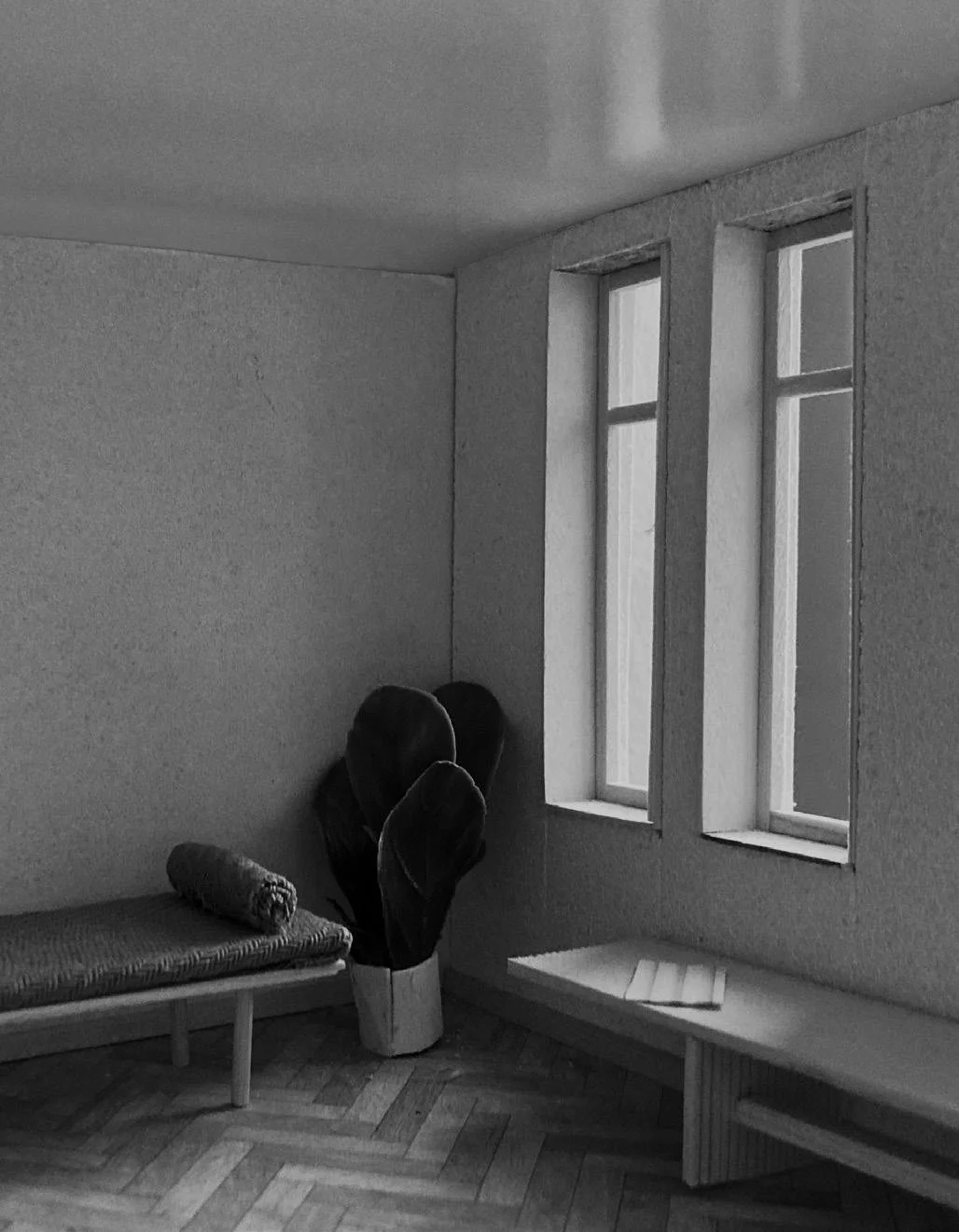 img36.jpg