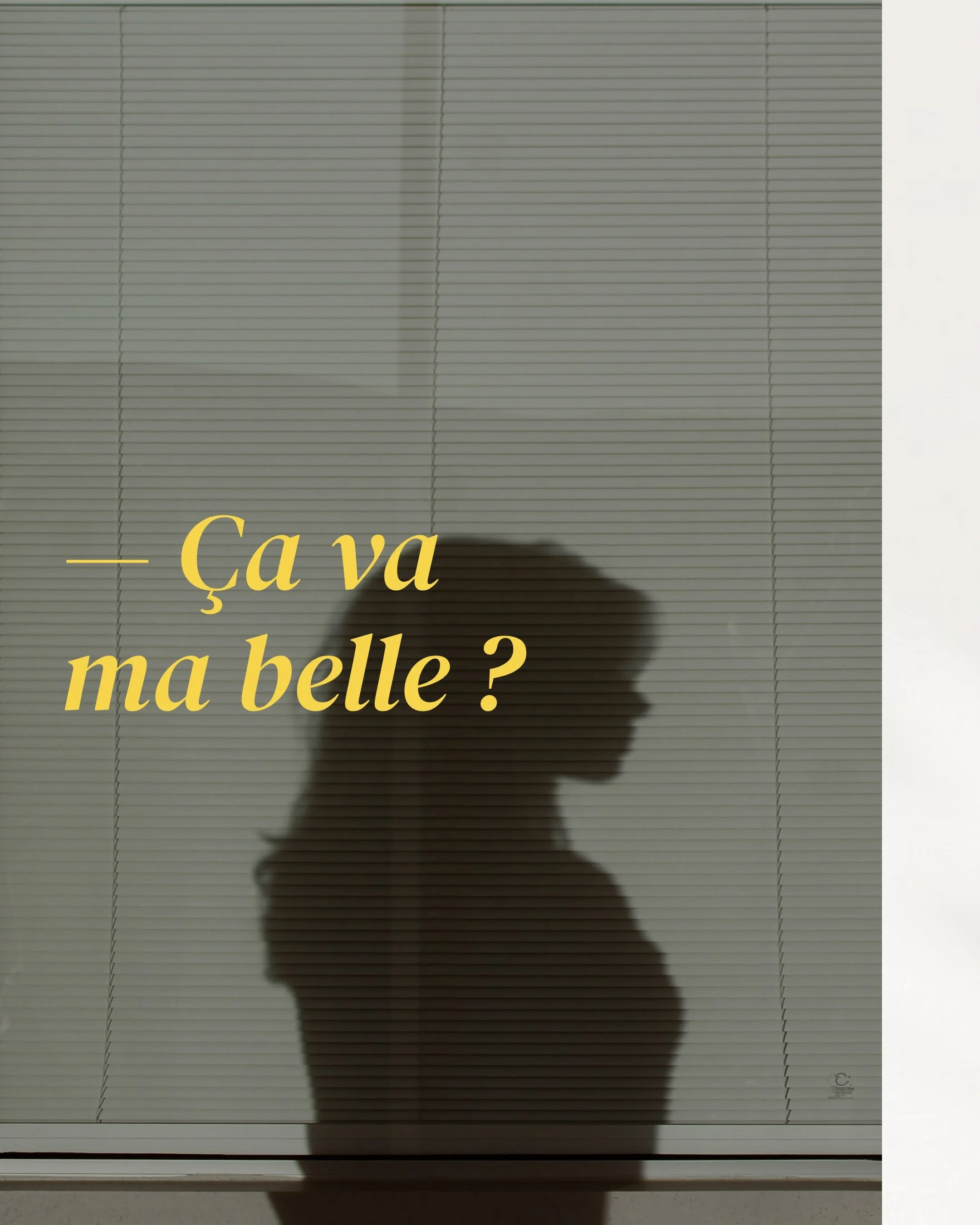 &Ccedil;a va mes beaut&eacute;s ?
