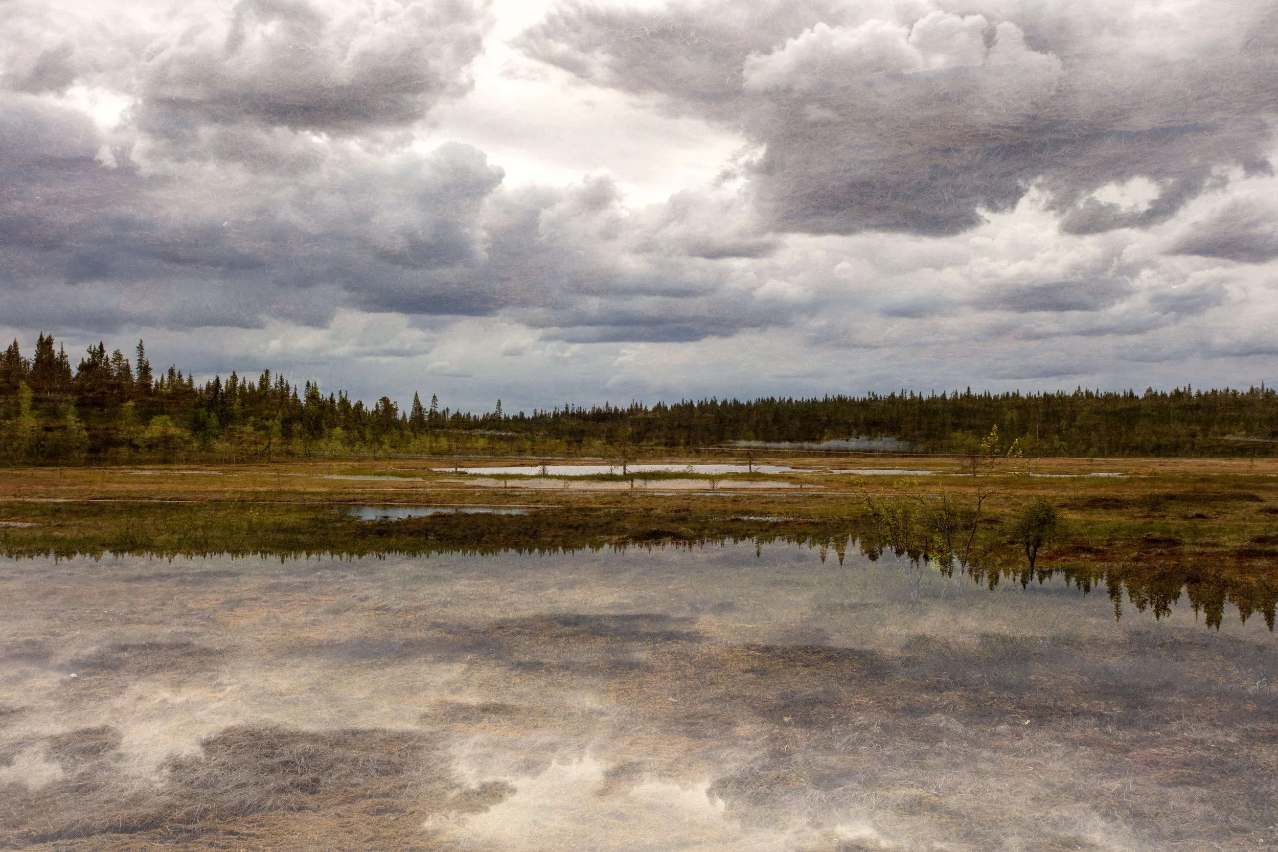 Kuusamo25_DE_suo_01.jpg