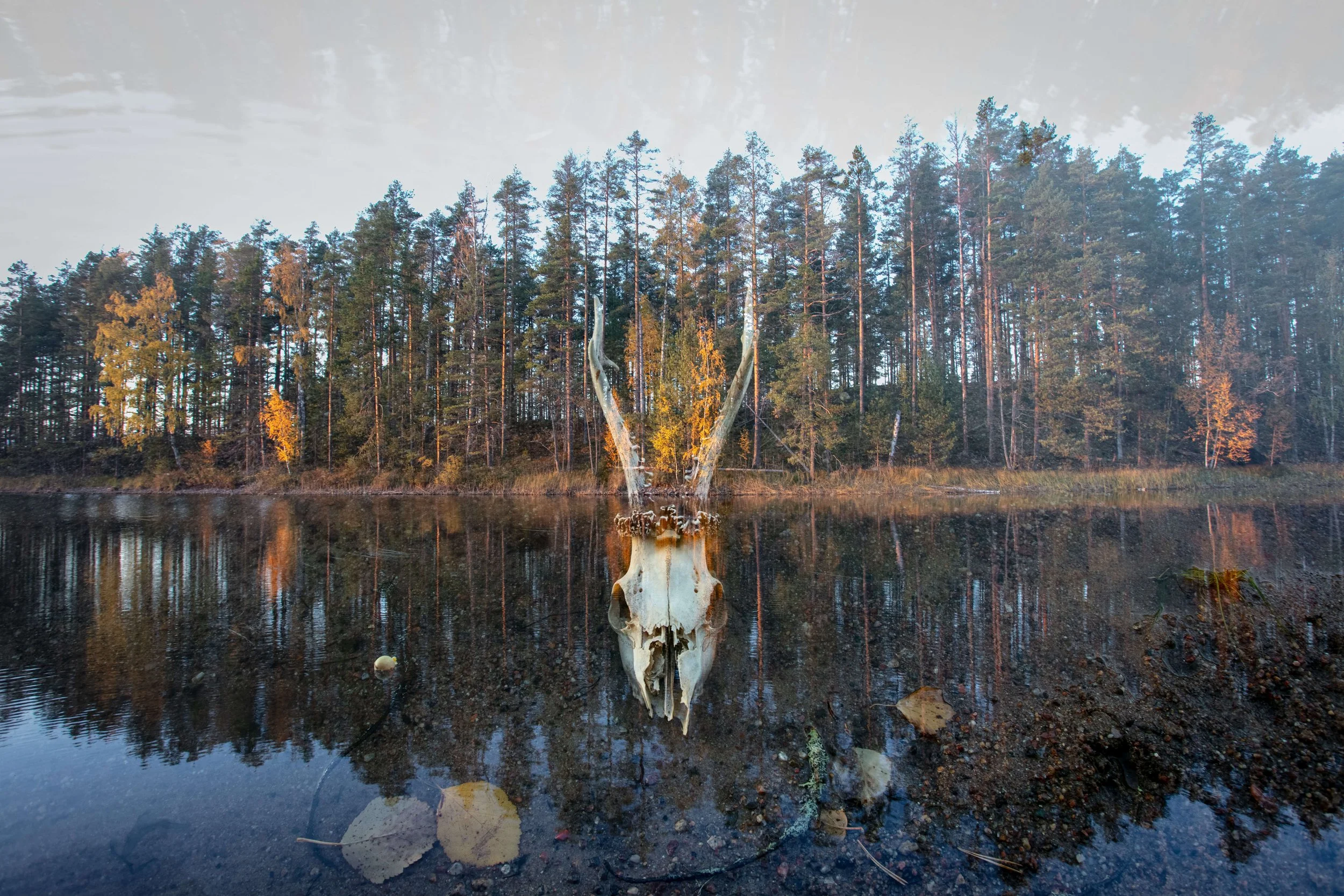 Varjelus2_print_Puruvesi_Aegis2_MariSarviaho.jpg