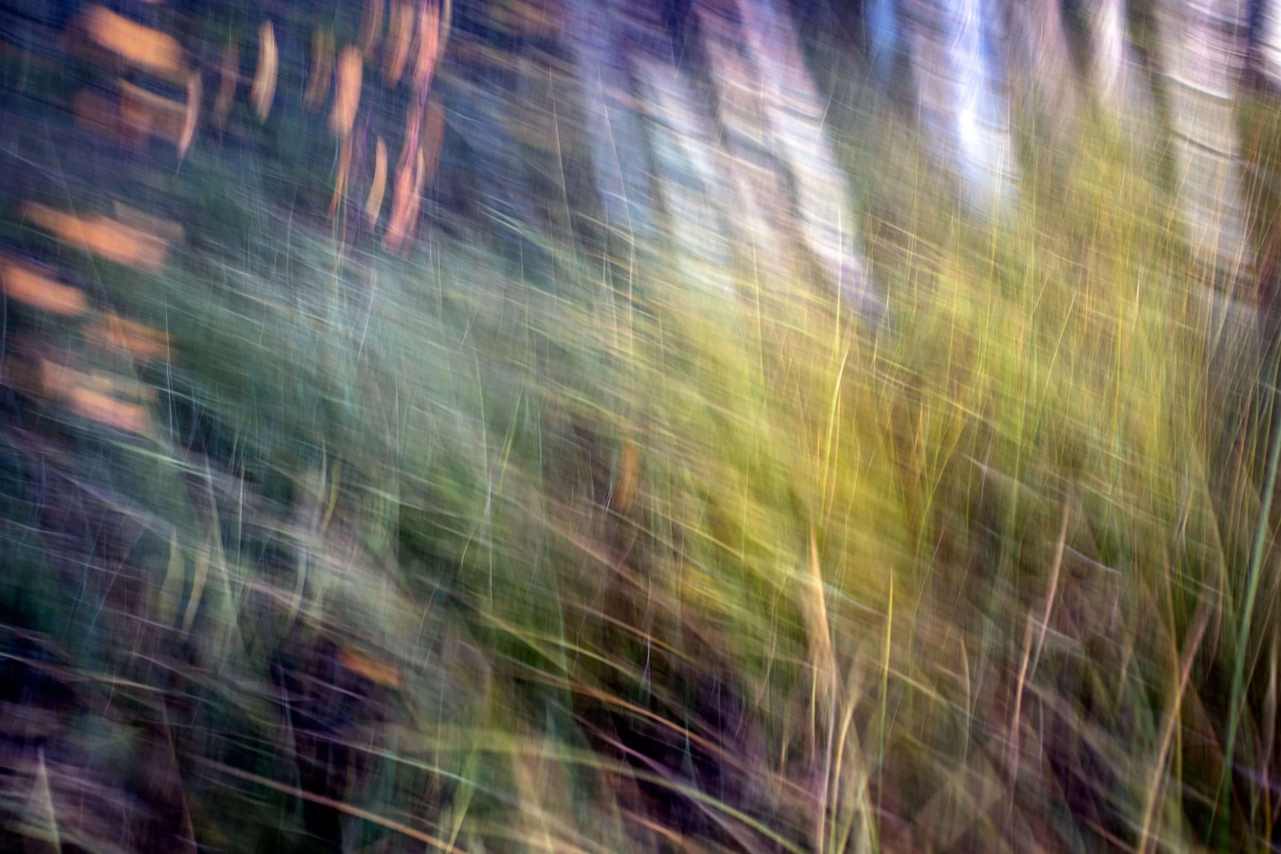 Puruvesi_ICM_liike2_PrINT_MariSarviaho.jpg