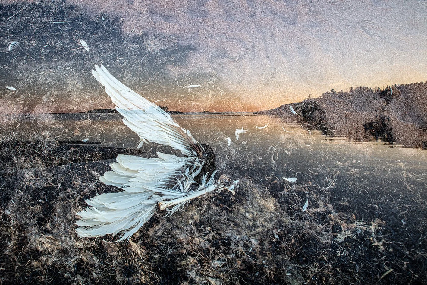 MH10_Feathersandbones2_preview__MariSarviaho.jpg