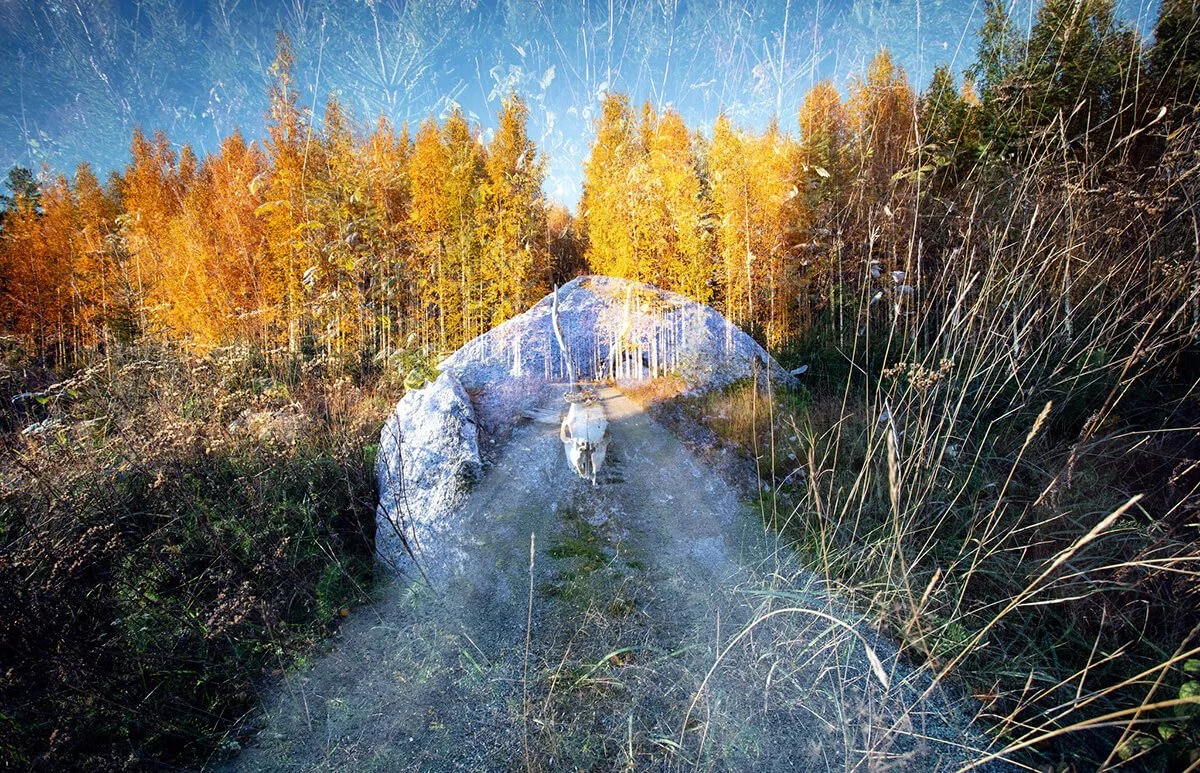 MH_Protection3_Puruvesi_prewiev_MariSarviaho.jpg
