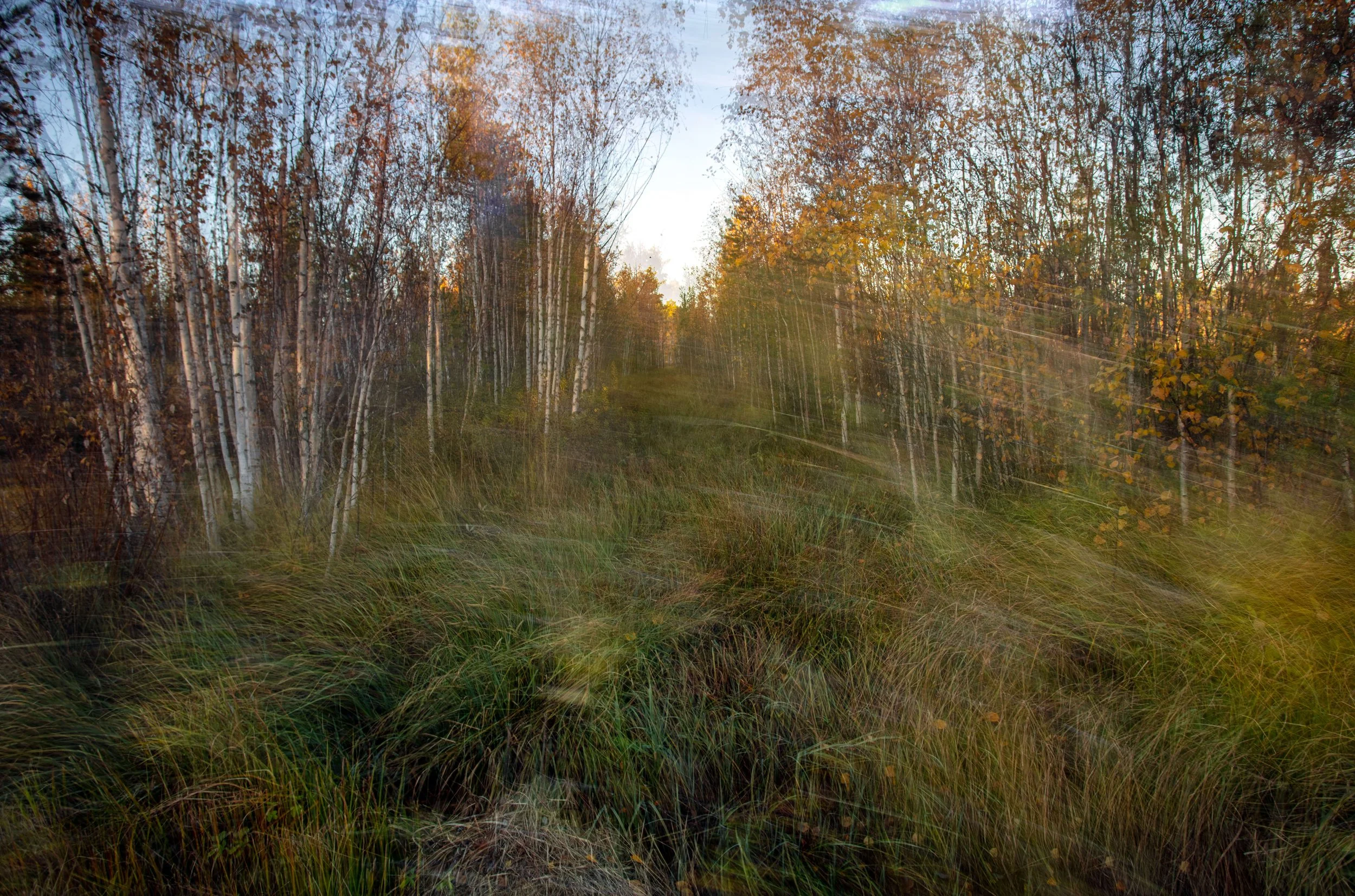 Puruvesi_Keltaisiaviivoja2_ICM_print_MariSarviaho.jpg