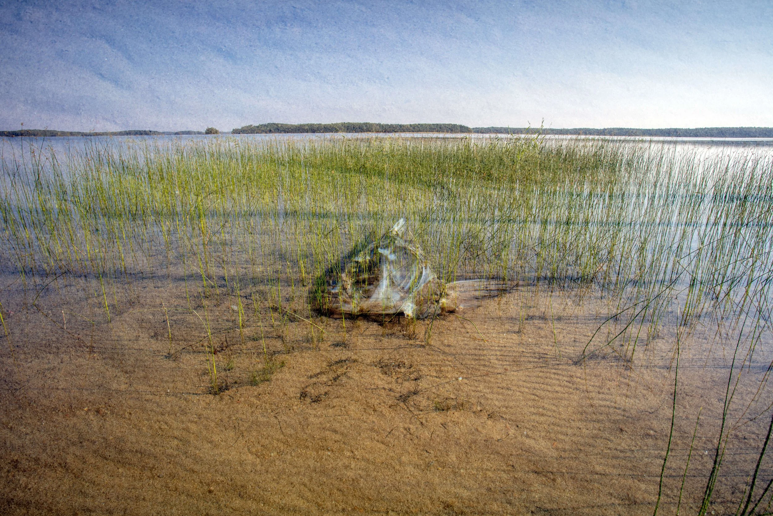 Vestige1_Puruvesi25_print_MariSarviaho.jpg