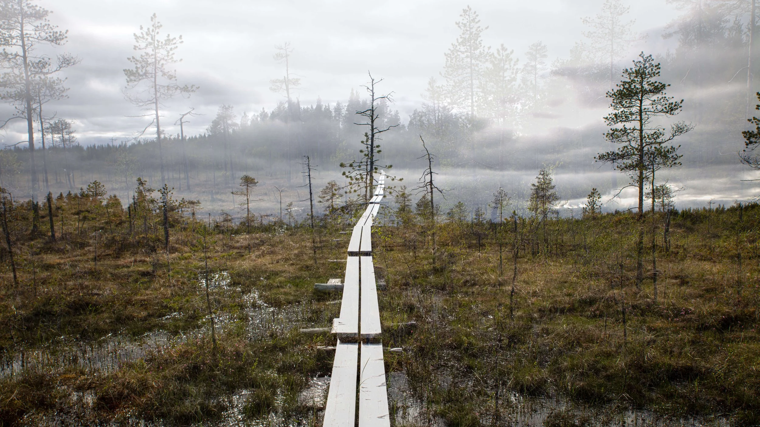 Kuusamo26_Pitkospuut_02.jpg